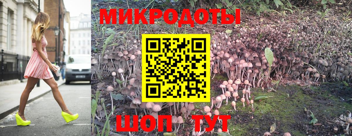 Псилоцибиновые грибы Psilocybe  Галлюциногенные грибы мухоморы  Родники  Вход с VPN 